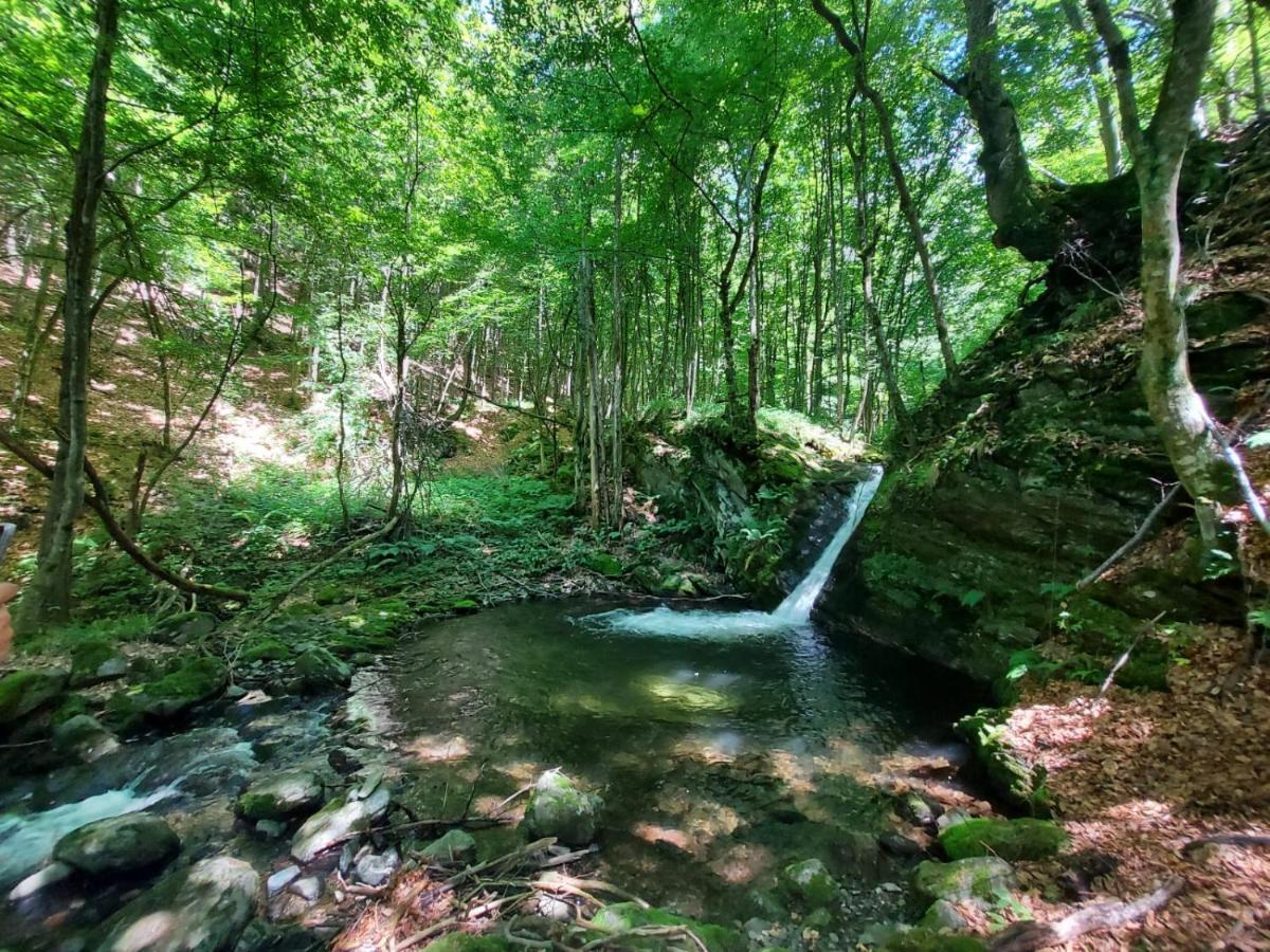 Haihui Pe Rusca Sebesu de Jos Dış mekan fotoğraf