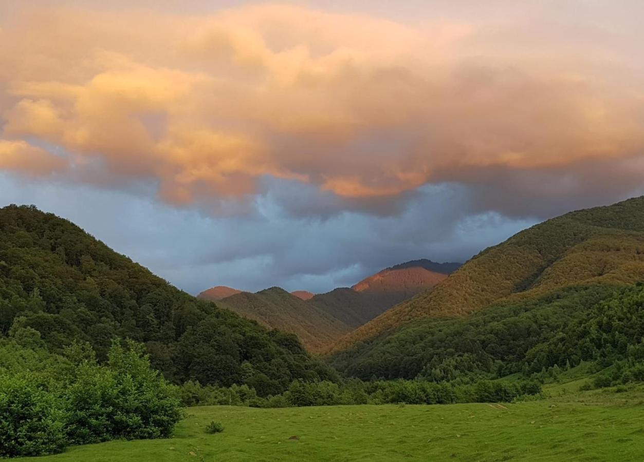 Haihui Pe Rusca Sebesu de Jos Dış mekan fotoğraf